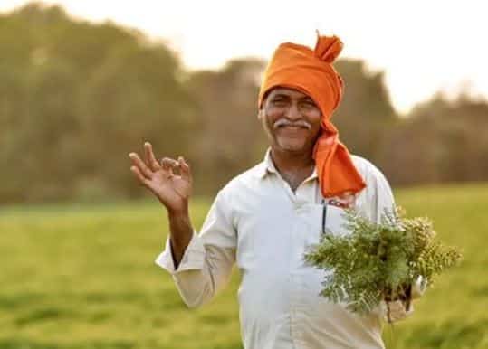 Subsidy on fencing for farmers in UP