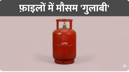 भारत ऊर्जा संकट दिल्ली LPG