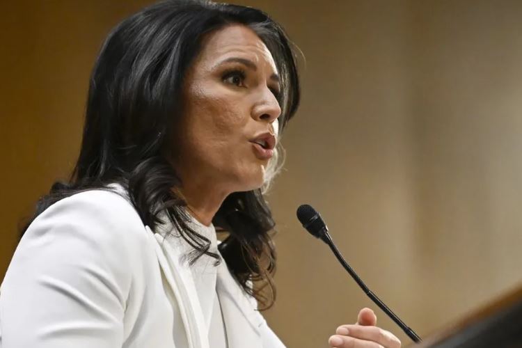 तुलसी गब्बर्ड परमाणु चेतावनी