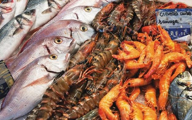 भारत सीफूड निर्यात