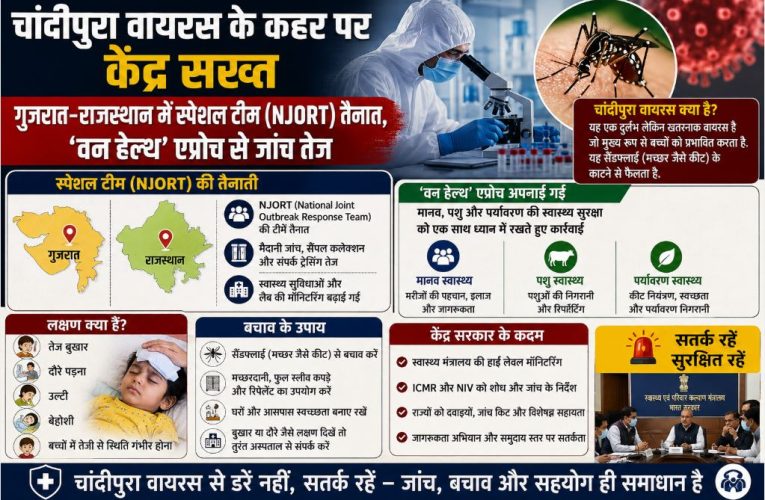 चांदीपुरा वायरस: केंद्र ने गुजरात-राजस्थान में स्पेशल टीम तैनात की