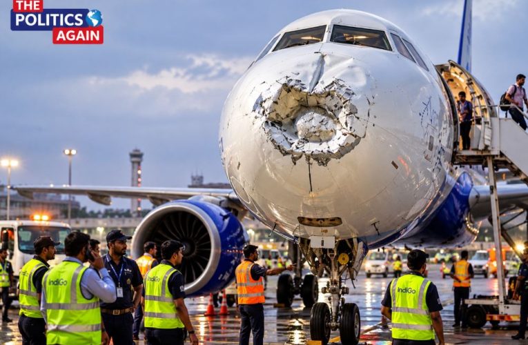 Airplane nose damage bird strike, IndiGo flight ground check, Indian airport aircraft engineering, dented airplane nose cone, passenger plane safety check