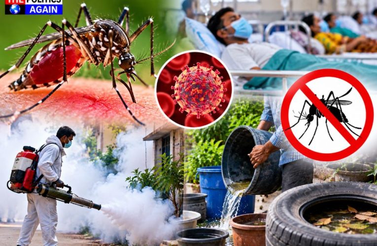 Dengue mosquito illustration, health worker fogging in street India, doctor treating fever patient, clean water cooler dengue prevention
