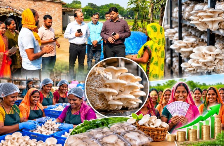 CDO Jaunpur inspecting mushroom farming by a women's self-help group in Nari village.